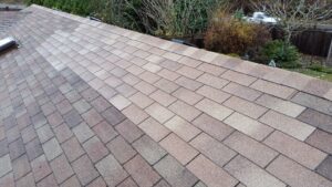 spot repaired roof shingles